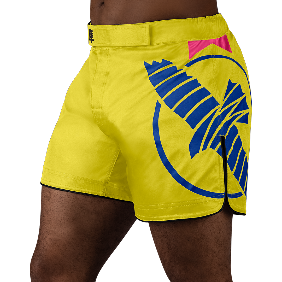 Yellow/Blue
