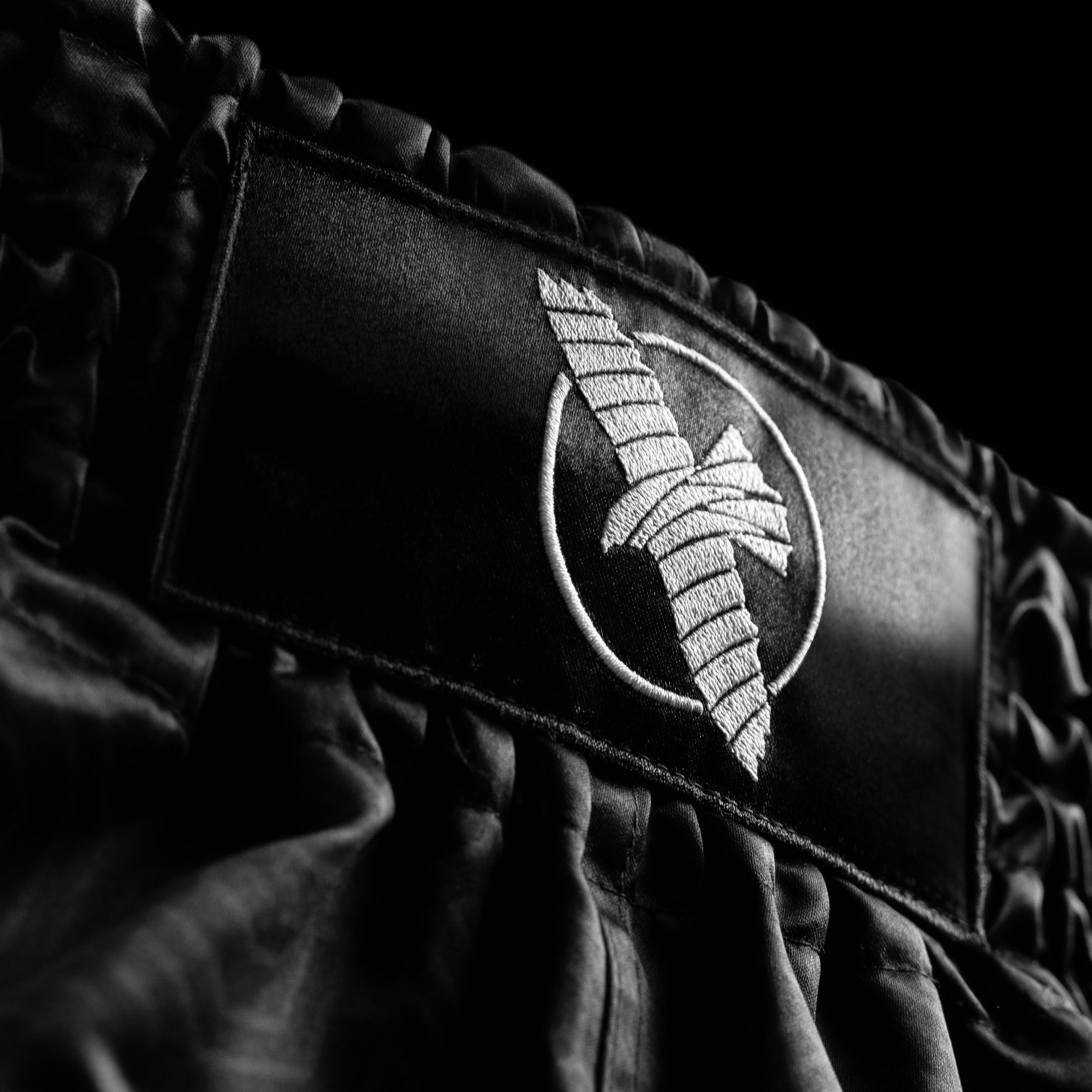 Core Muay Thai Shorts - Image 4